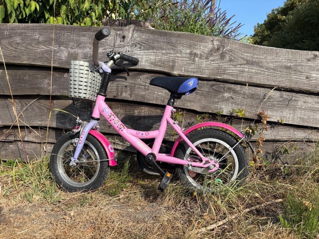 Kinderfietsje 12 inch, Ophalen, Gebruikt, Minder dan 16 inch