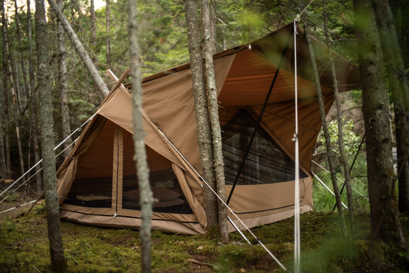 Altai canvas tent nieuw, Ophalen