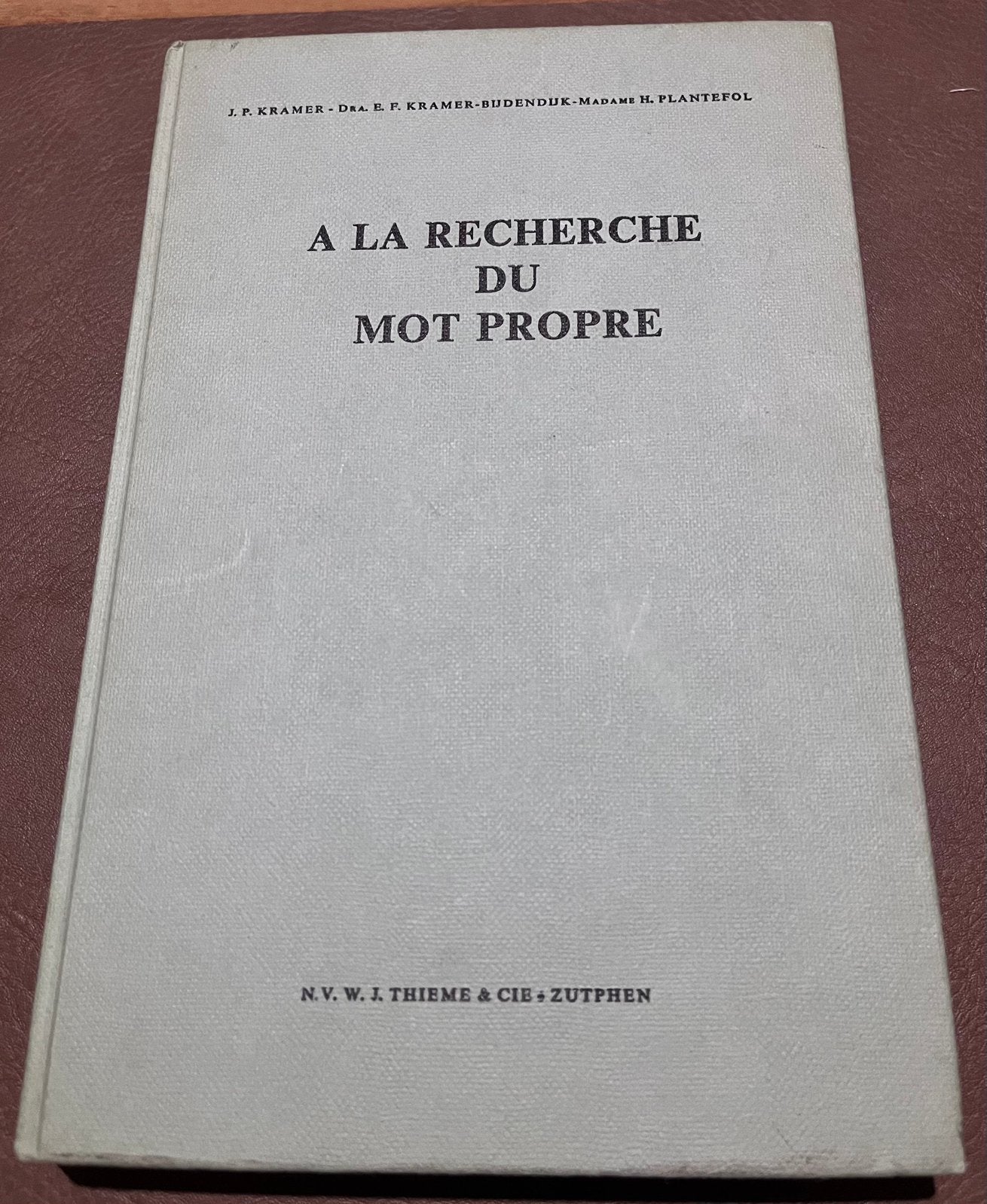 Boek - A la recherche du mot propre - NL/FR, Boeken, Woordenboeken, Ophalen of Verzenden, Gelezen, Frans