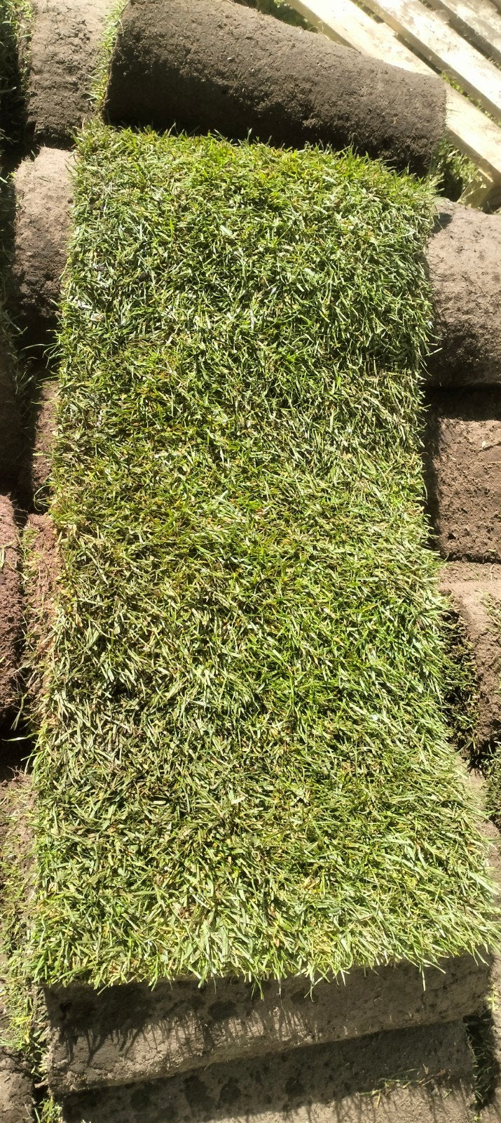 24 m² gazon disponible, Jardin & Terrasse, Enlèvement