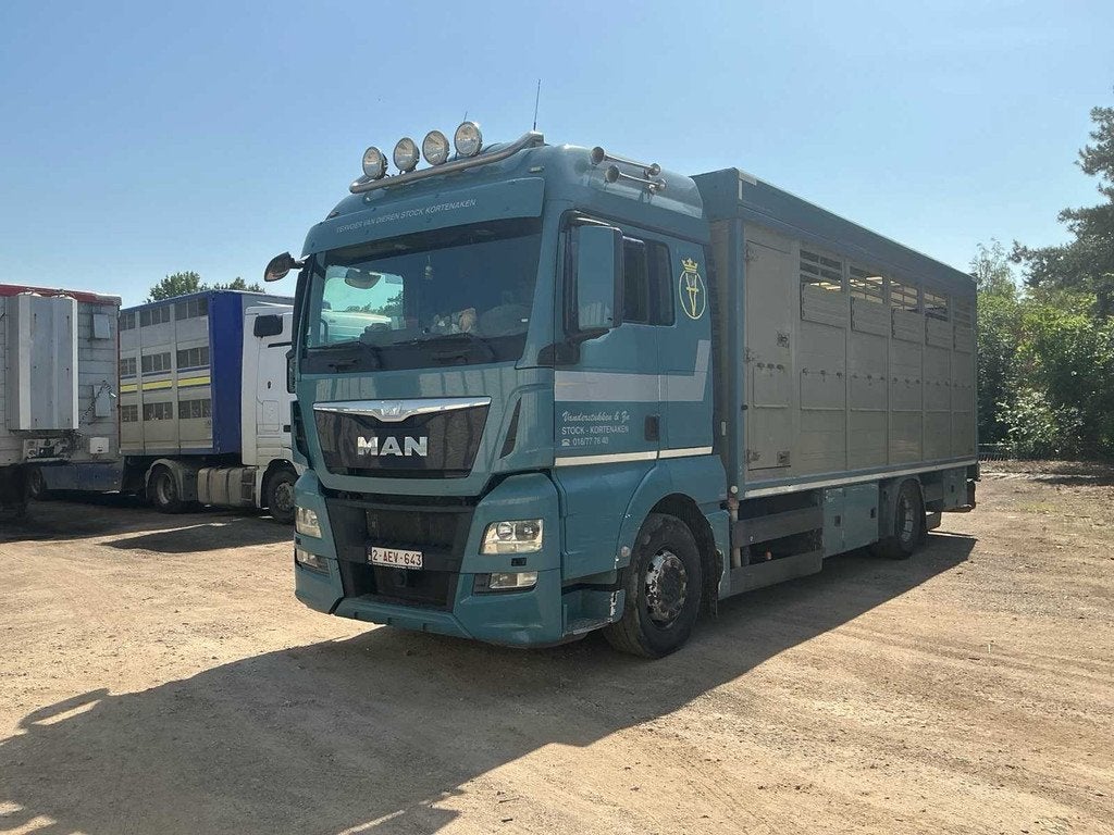 Camion de transport d’animaux MAN TGX 2014, Autos, Camions, Entreprise, MAN, Autres carburants, Euro 6