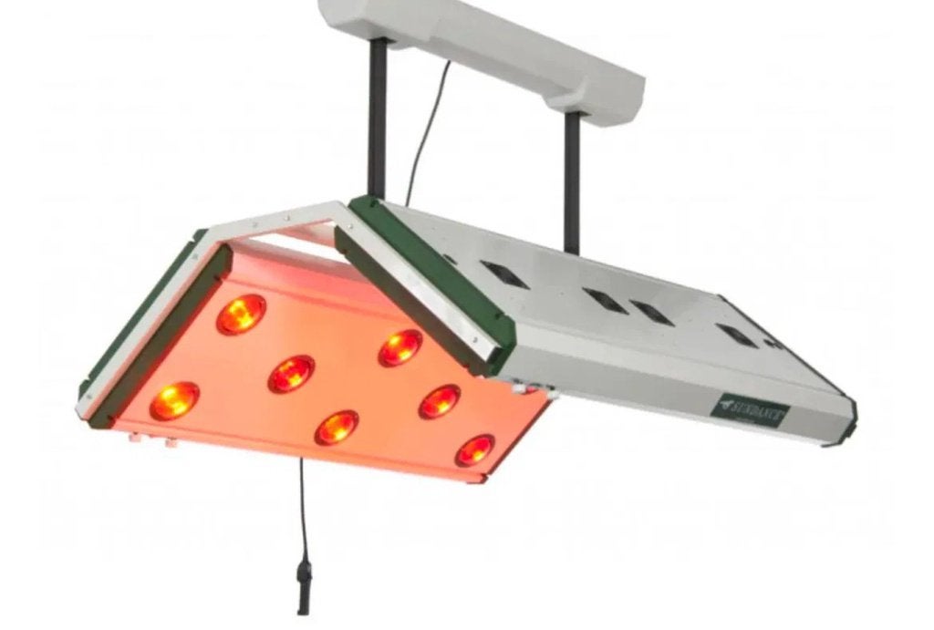 Diversen Solarium Diverse Solarium uit voorraad leverbaar, Articles professionnels, Machines & Construction | Chariots élévateurs & Transport interne