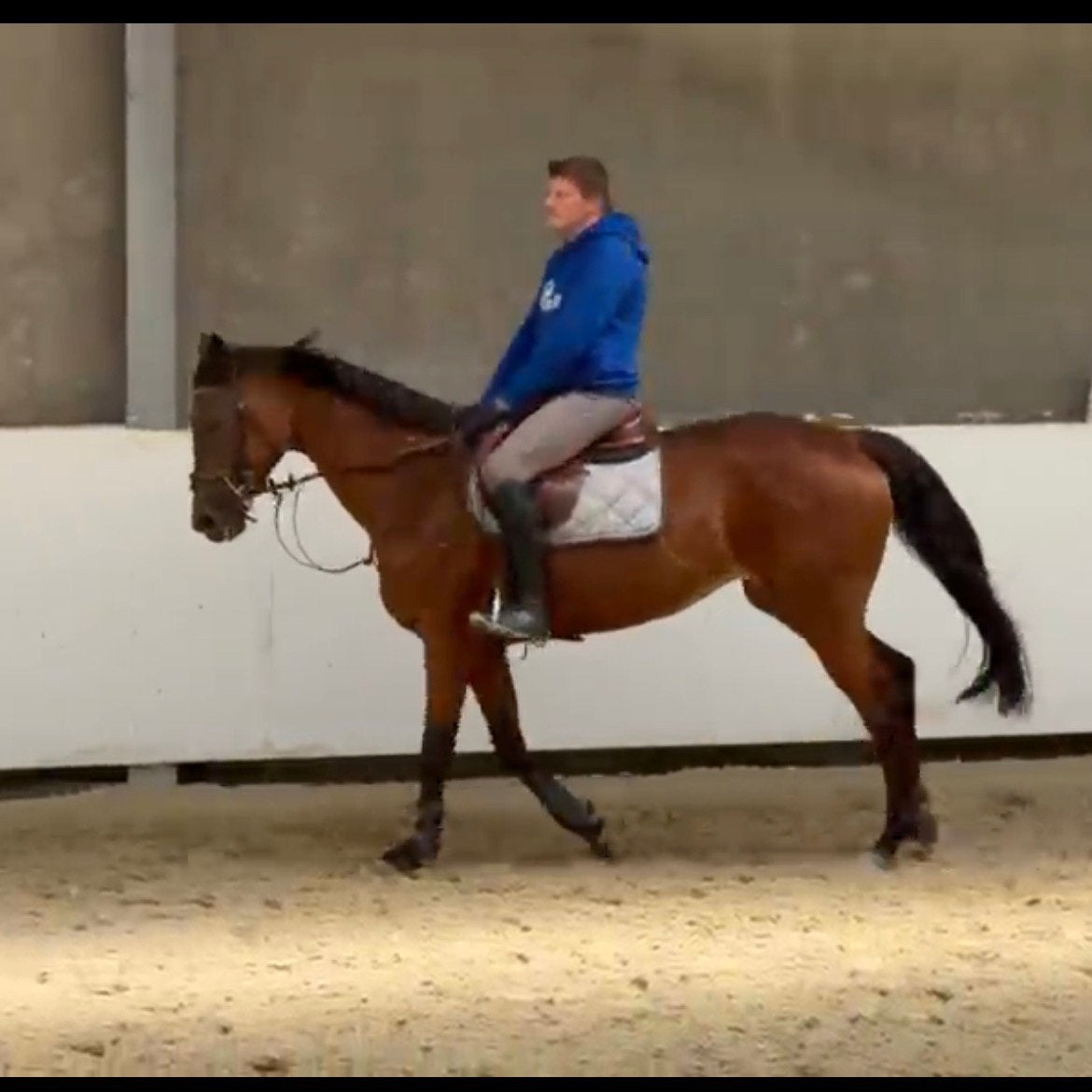 Super  amateur paardje, Animaux & Accessoires, Chevaux, 11 ans ou plus, 160 à 165 cm, Ne s'applique pas, Jument