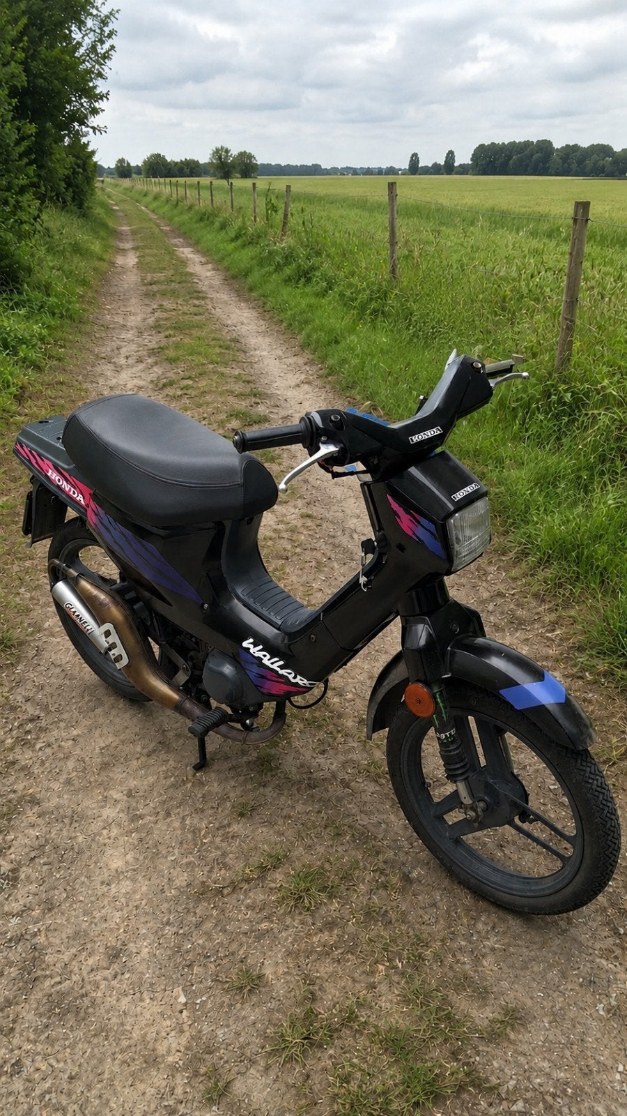 gezocht 2 witte velgen voor een honda wallaroo, Enlèvement