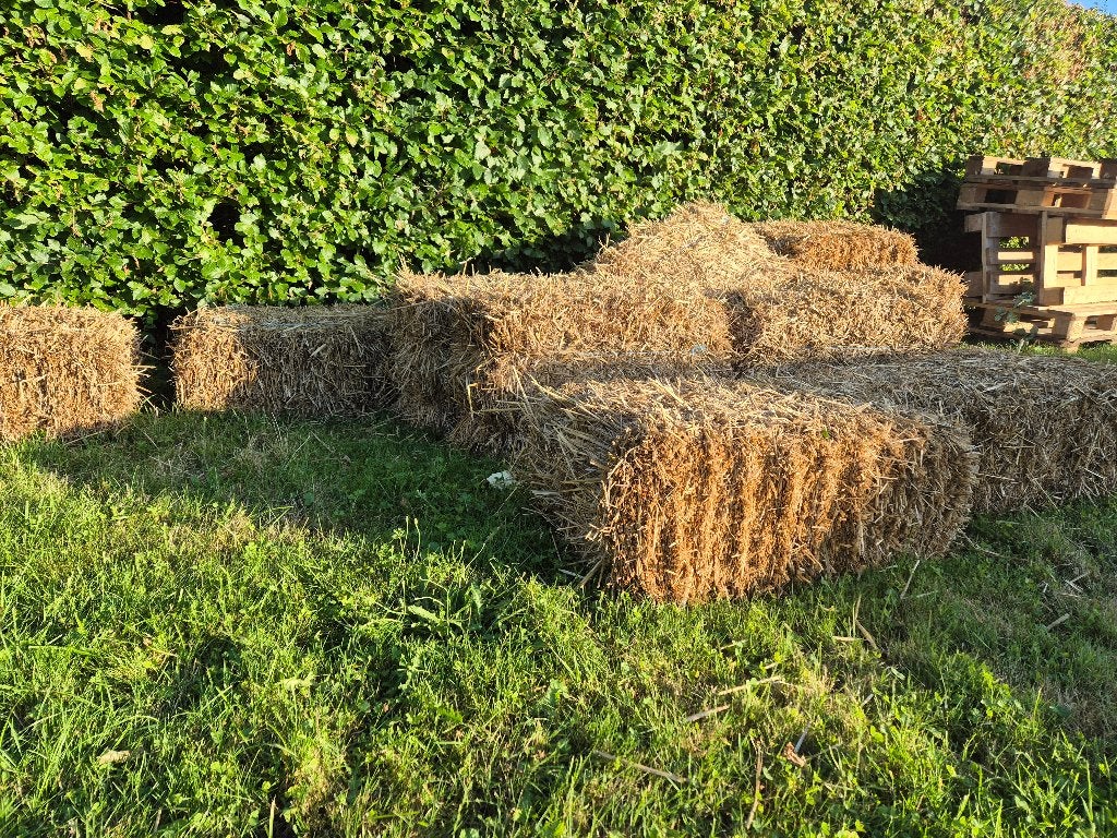 Strobalen 32st 65 euro, Ophalen, Nieuw