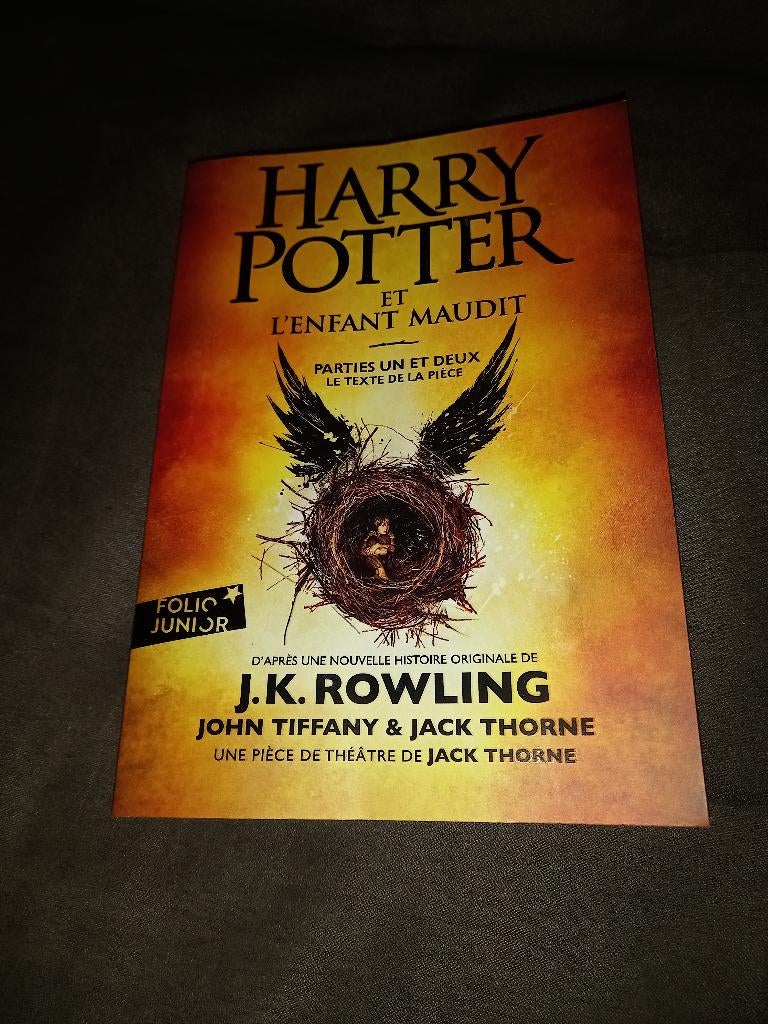 Livre Harry Potter et l'Enfant maudit., Enlèvement ou Envoi