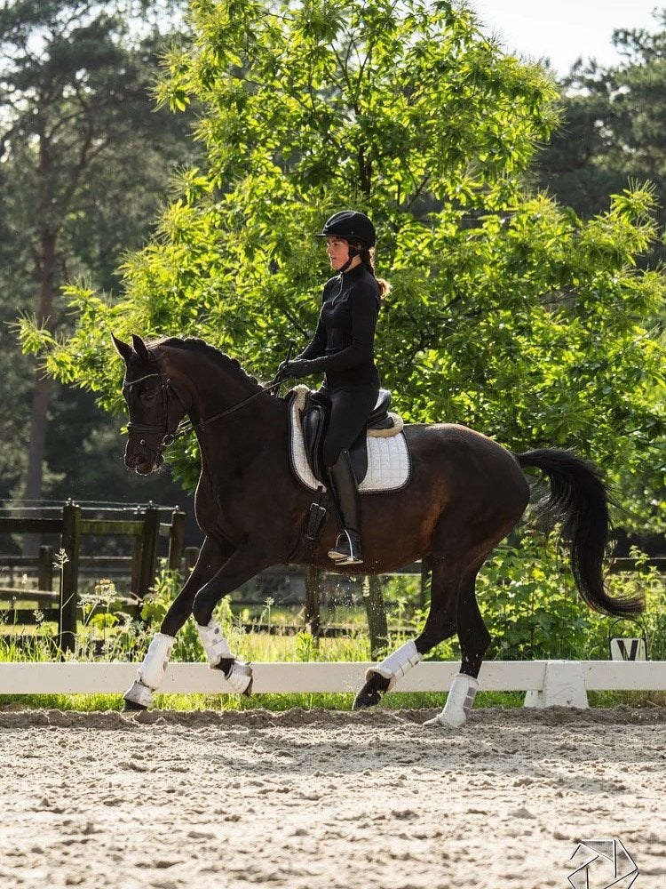Zadelmak maken, training, Dieren en Toebehoren, Ophalen of Verzenden
