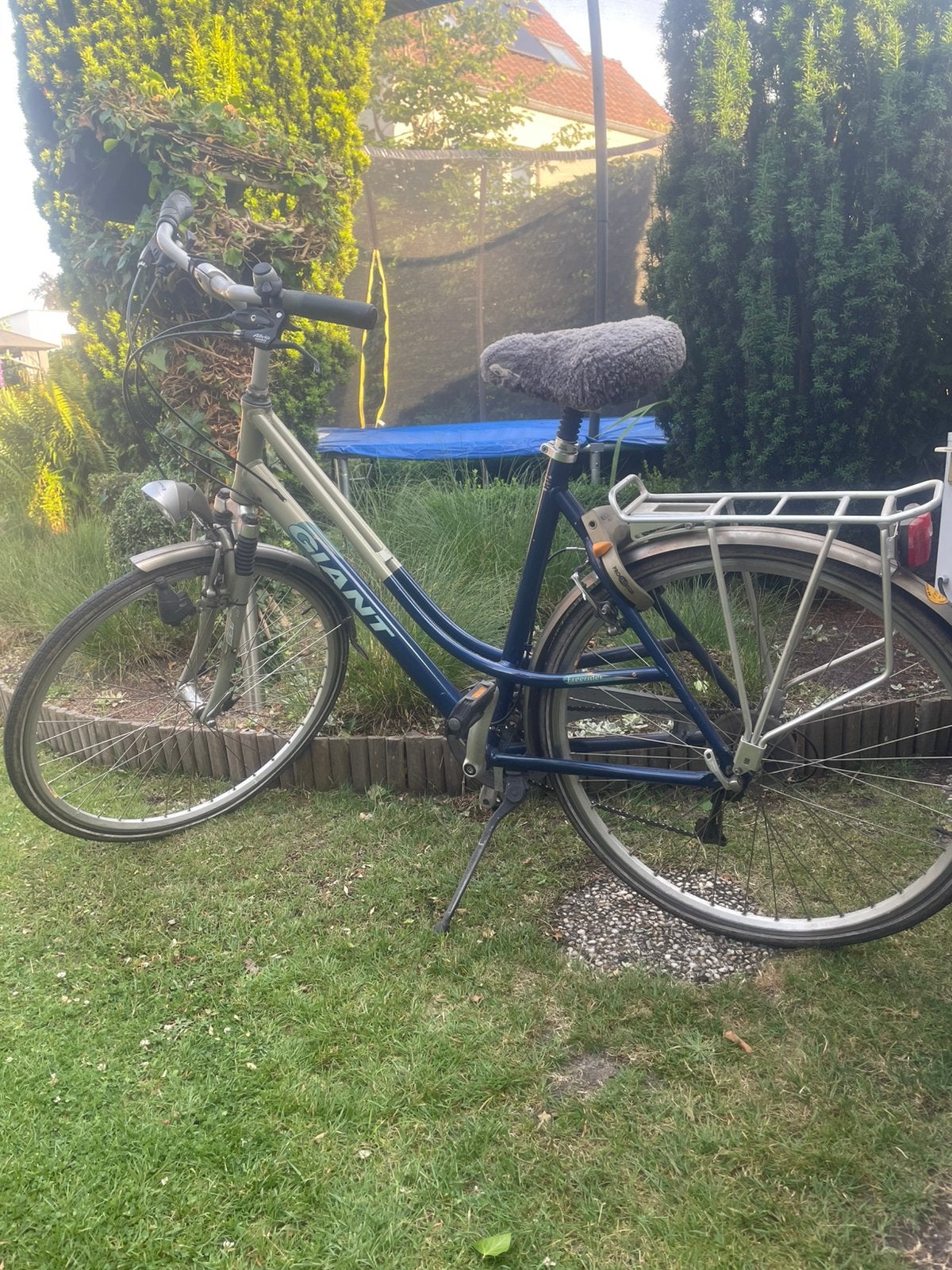 Damesfiets Giant, Ophalen, Gebruikt, Giant