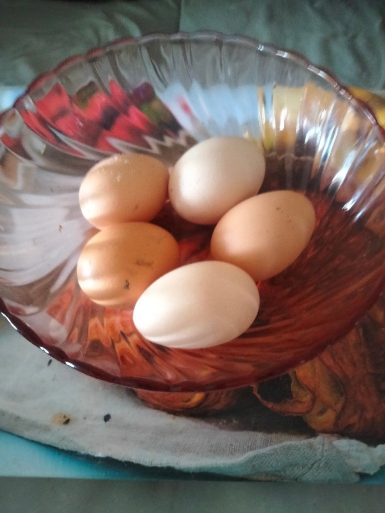Oeufs frais, Divers, Enlèvement