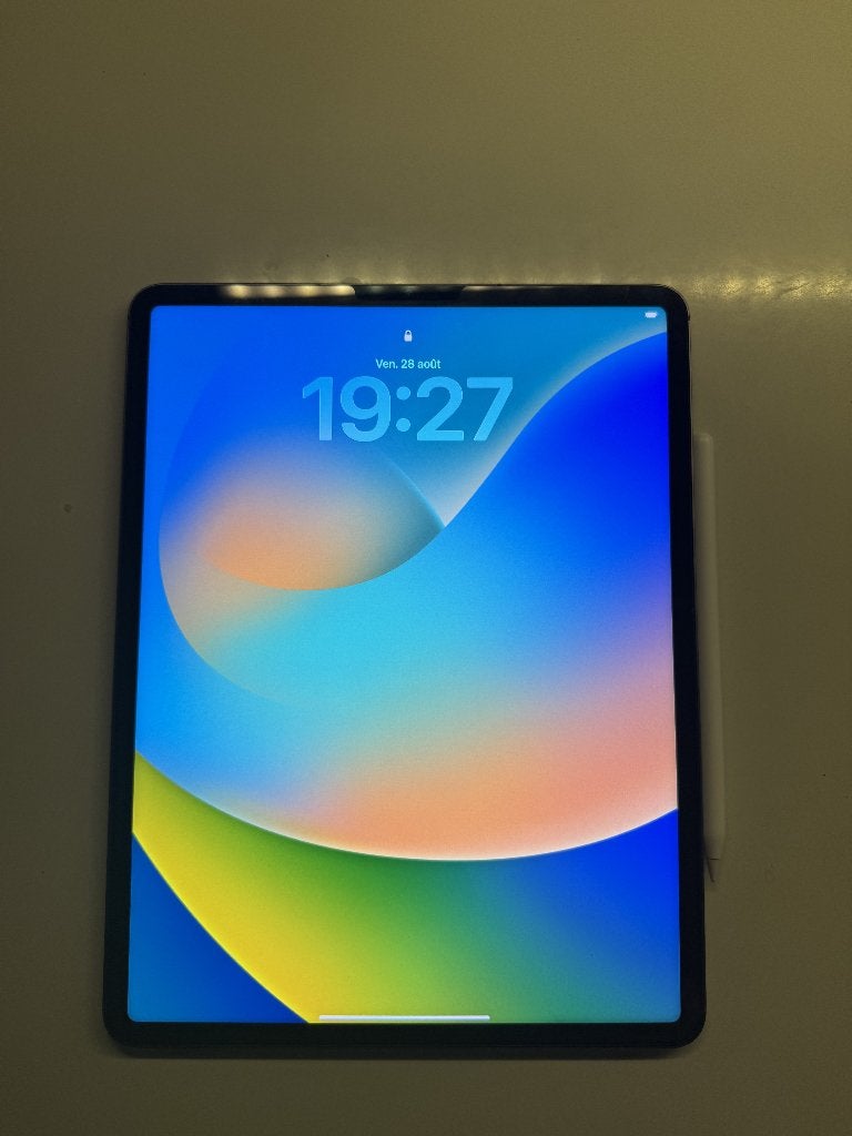 iPad Pro 12,9” M2 6e génération 128 Go + Apple Pencil 2, Informatique & Logiciels, Apple iPad Tablettes, Gris, 13 pouces ou plus