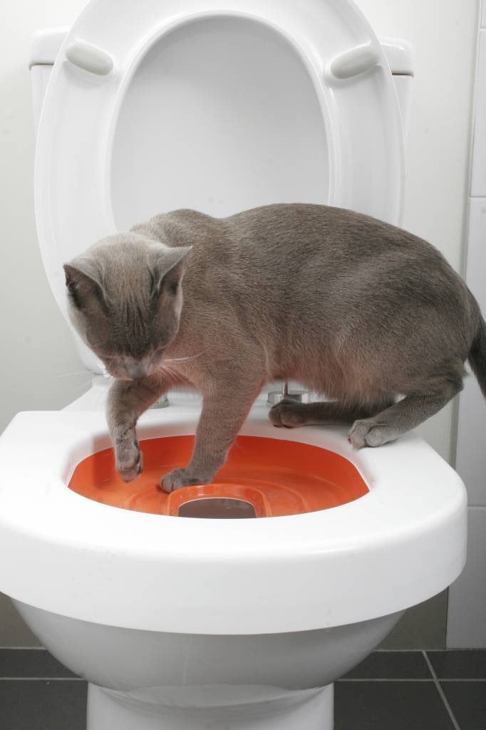 kattentoilet, Ophalen, Nieuw, Gesloten