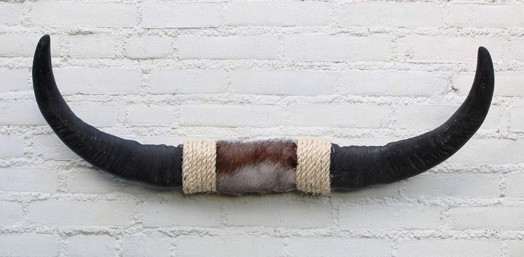 Texas style BULLBAR - 82 cm - waterbuffel hoorns (ref. D), Ophalen of Verzenden, Nieuw, Boerderijdier, Overige typen