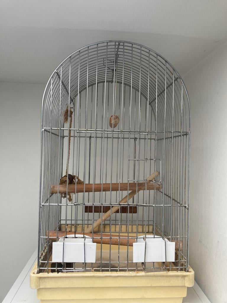 Vogelkooi parkietenkooi papegaaienkooi, Dieren en Toebehoren, Vogels | Hokken en Kooien, Ophalen, Zo goed als nieuw, Vogelkooi
