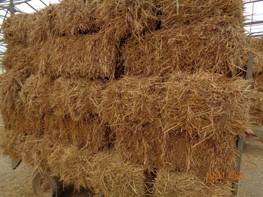 TARWE STRO, Mise à l'étable, 1 cheval ou poney