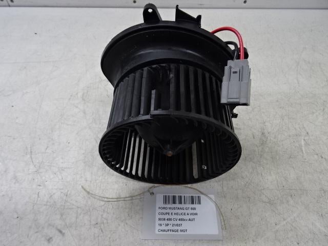 RADIATEUR MOTEUR Ford USA Mustang VI Fastback (FR3B19846A), Mevr. I. Hauben, Pièces américaines, Utilisé, Rue de l'Espoir 34 34
4030  GRIVEGNÉE, BE