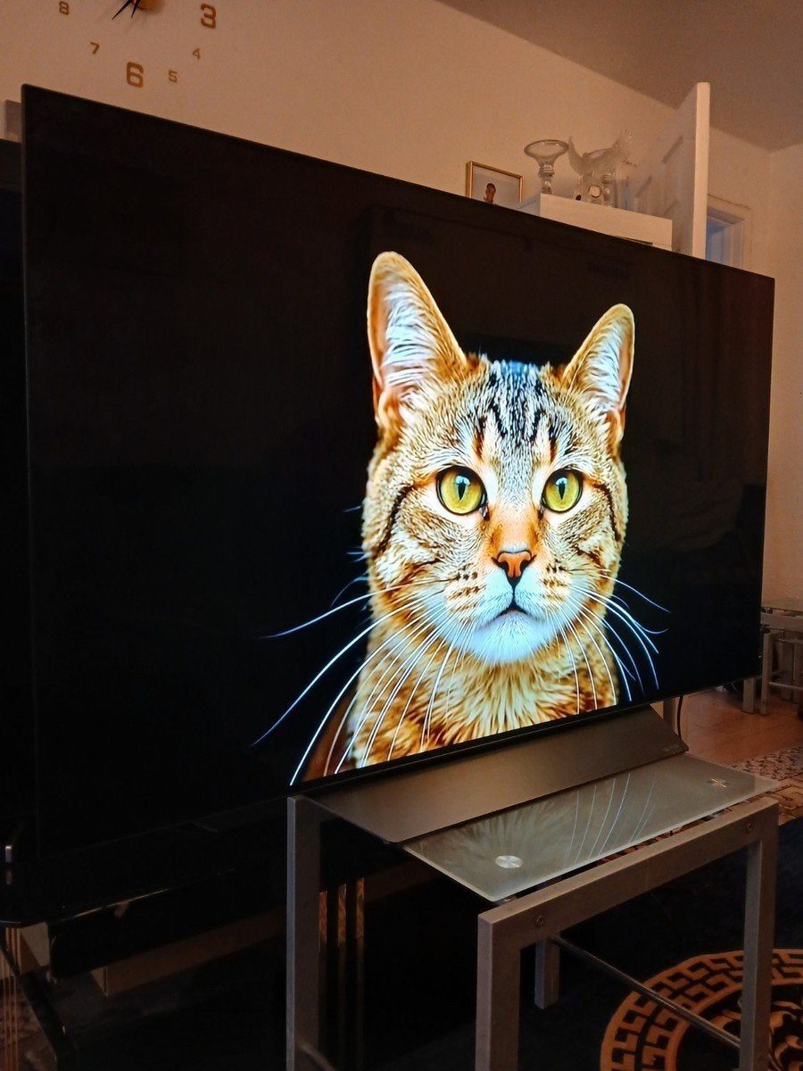 LG Premium OLED" 4K Nieuw | Ongeëvenaarde Beeldkwaliteit, Ophalen of Verzenden
