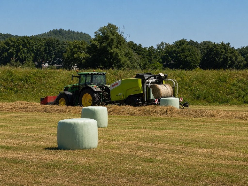 Midi/ grote balen, Dieren en Toebehoren, Ophalen of Verzenden