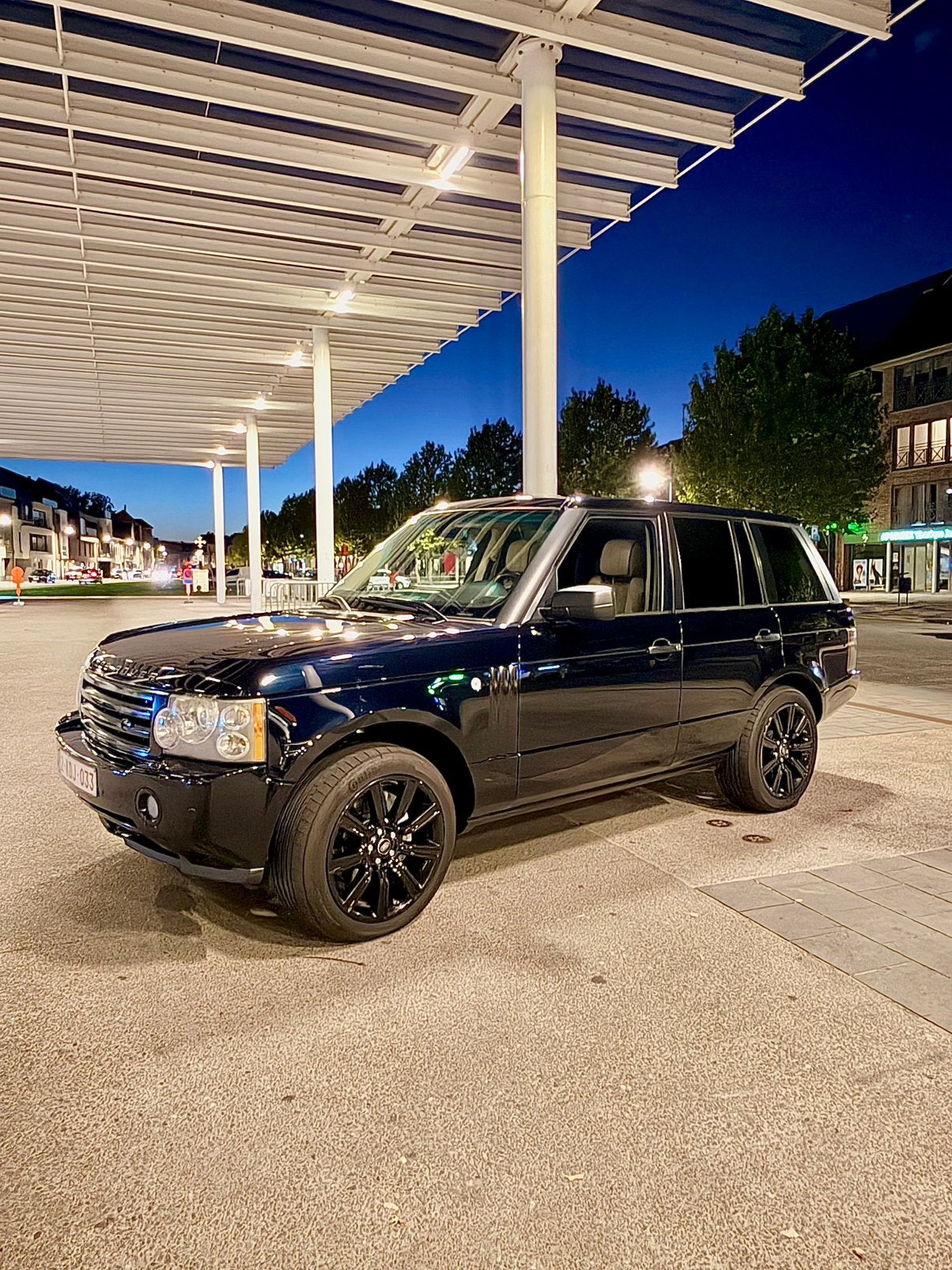 Range rover 3.6 tdv8 LICHTE VRACHT, Particulier, Te koop, Range Rover