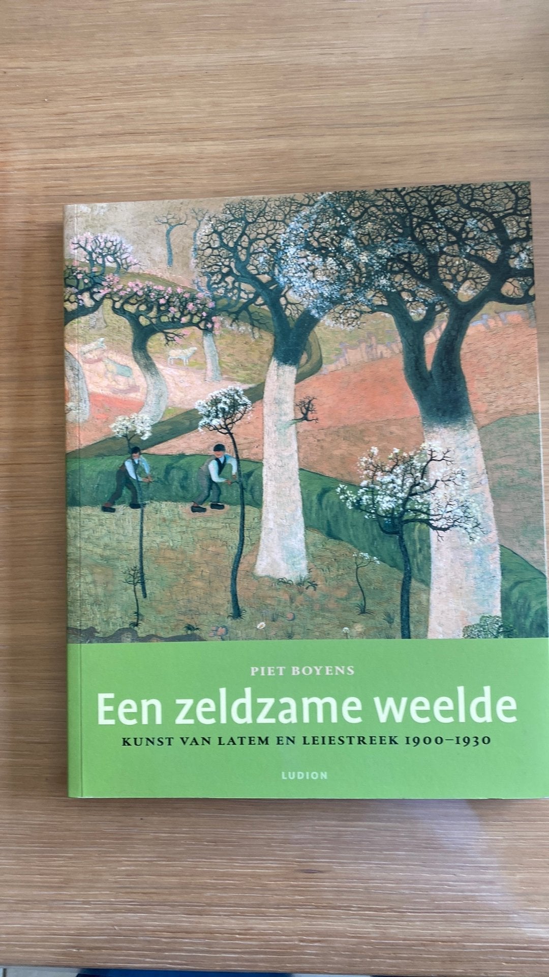 Kunst van Latem en Leiestreek 1900 -1930, Boeken, Ophalen, Piet Boyens, Zo goed als nieuw, Overige onderwerpen