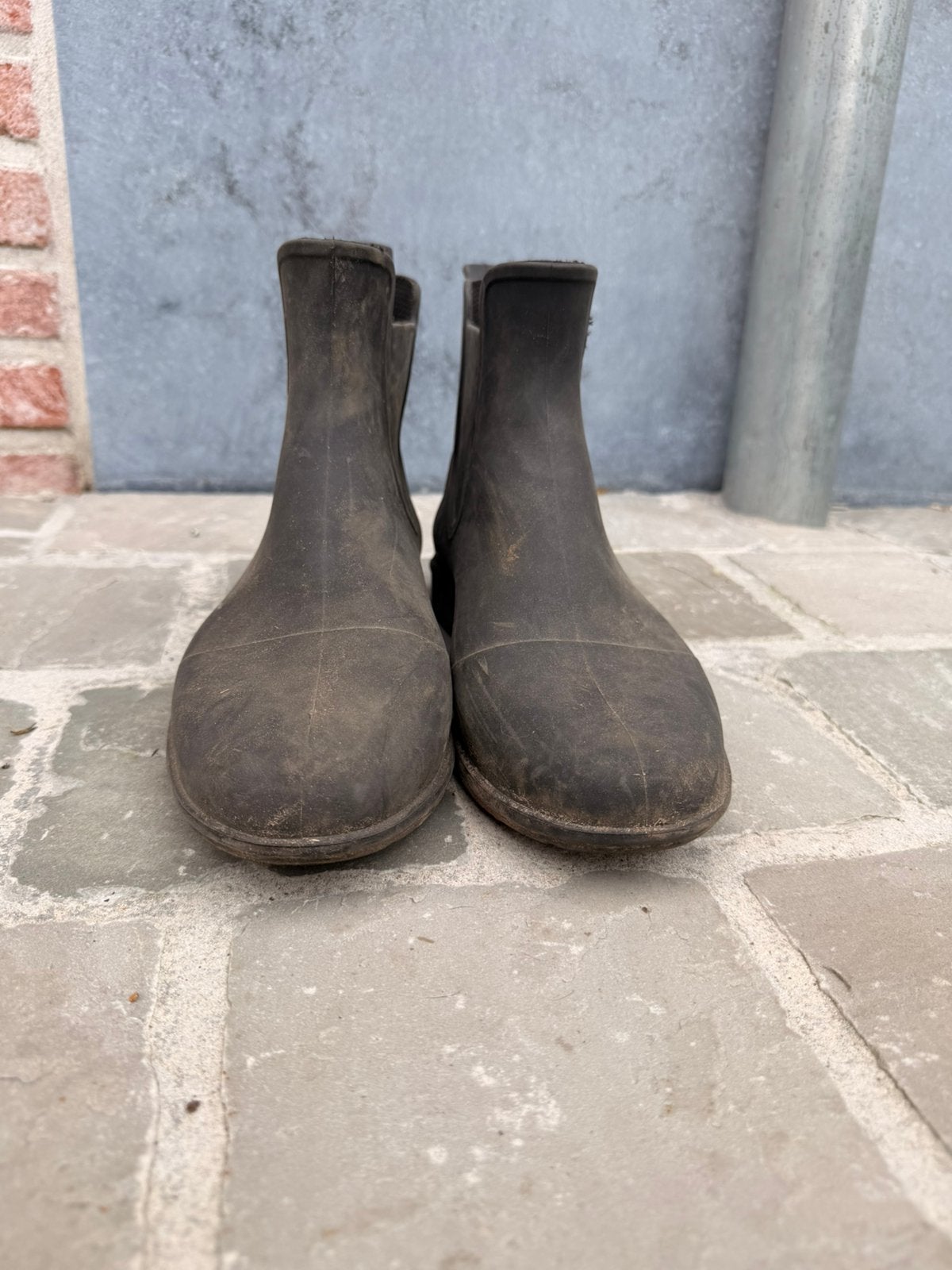 Korte rijbotjes, Animaux & Accessoires, Vêtements d'équitation, Enlèvement, Comme neuf