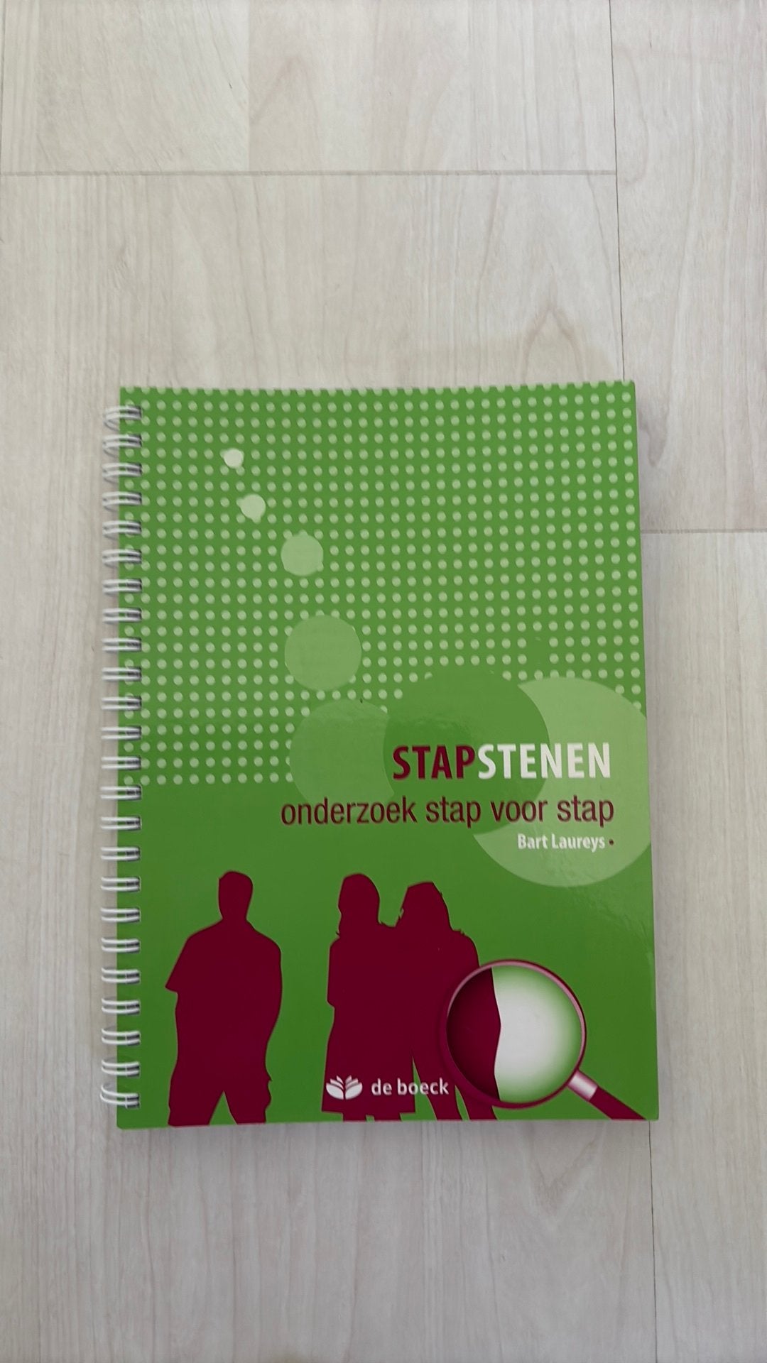 Laureys - Stapstenen, Boeken, Ophalen of Verzenden, Nederlands, Laureys