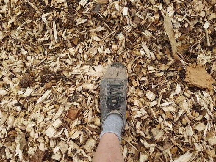 Beaux copeaux de bois |, Enlèvement ou Envoi