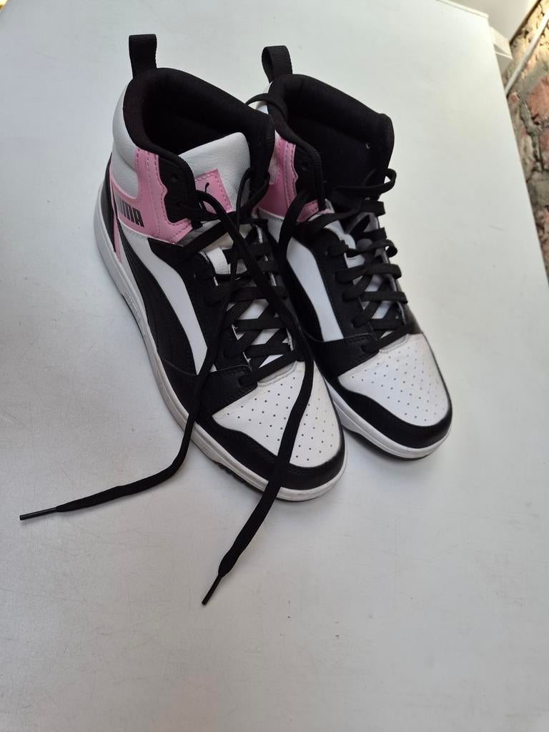 Puma, Enlèvement