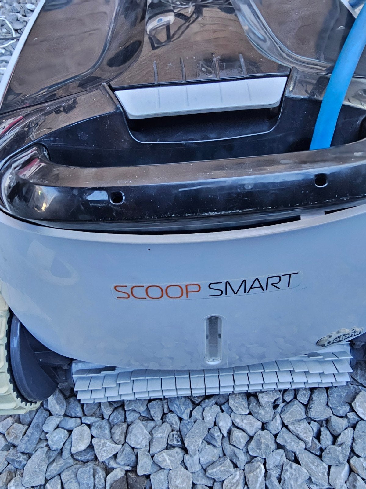 Zwembad robot dolphin, Tuin en Terras, Ophalen