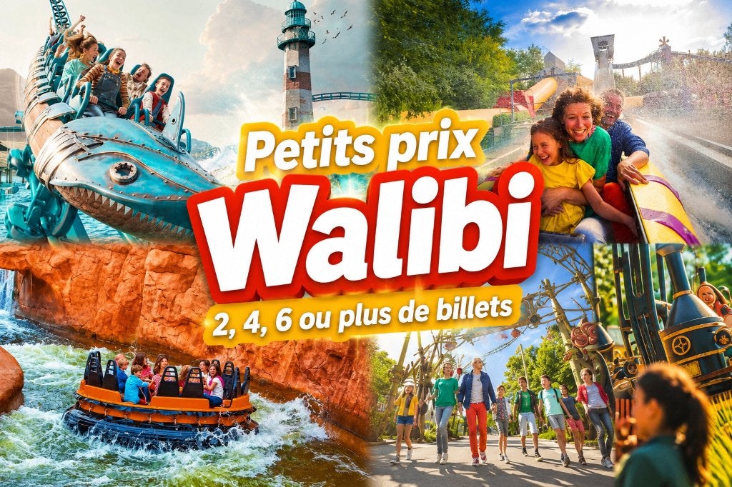 Billets Walibi moins chere, Tickets & Billets, Deux personnes, Ticket ou Carte d'accès
