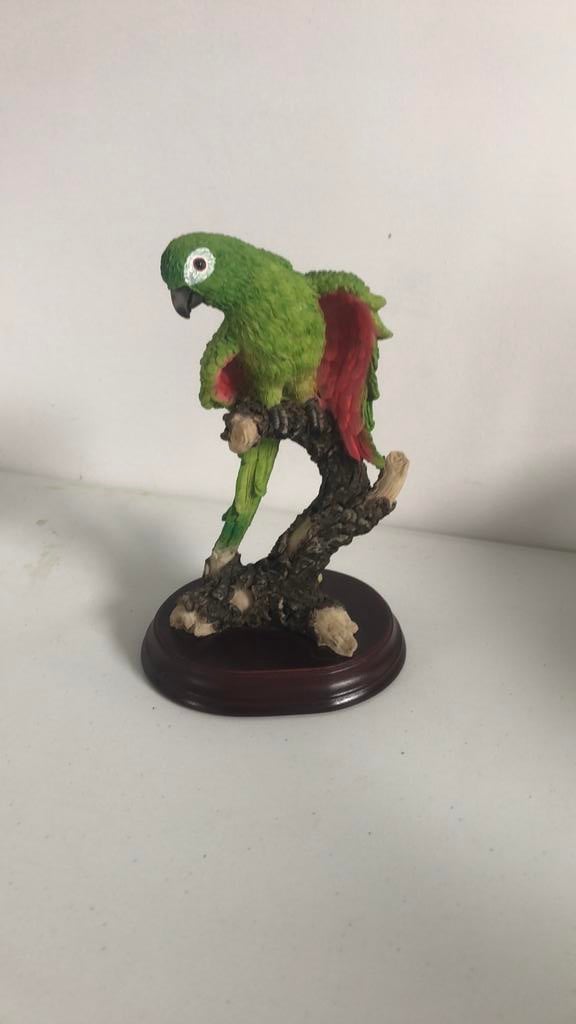 Beeldje van Groene Aratinga, Enlèvement, Comme neuf