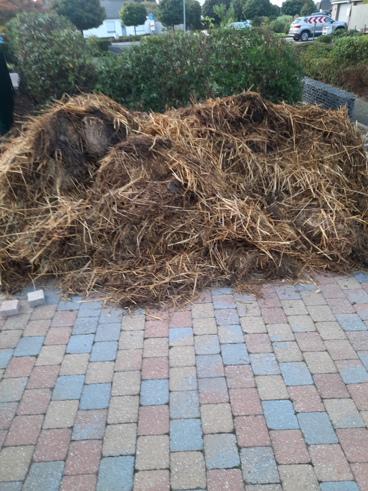 paardemest, Tuin en Terras, Ophalen
