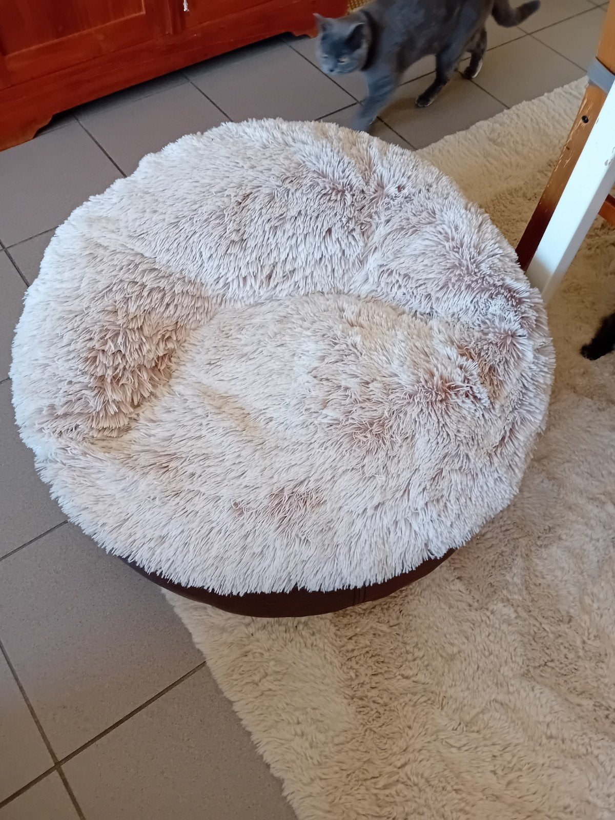 Mooie grote luxe honden en kattekussen voor 4 katten, Dieren en Toebehoren, Ophalen