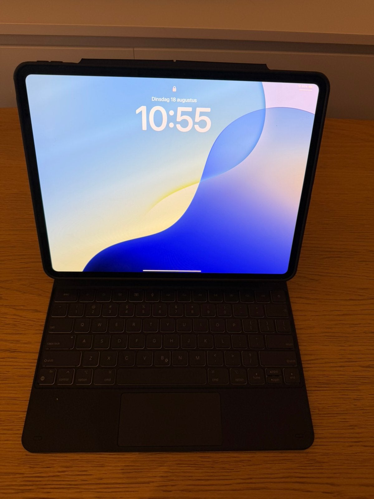 iPad Pro M4 13 pouces avec écran OLED - batterie 100%, Enlèvement, Comme neuf