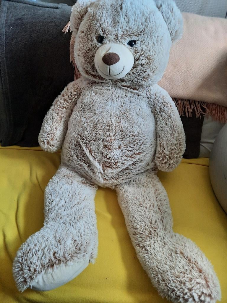 Grand ours en peluche, Enlèvement