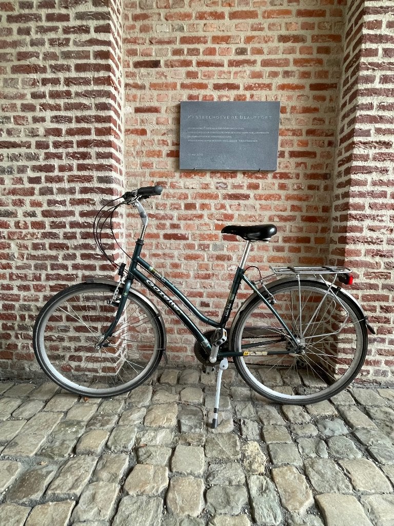 stadsfiets dames Gazelle goede staat, Fietsen en Brommers, Ophalen, Gebruikt, Velgrem, Versnellingen