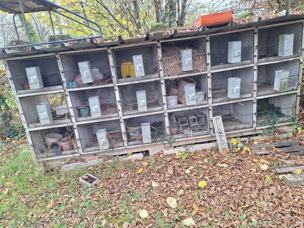 18 cabanes  a lapins en béton avec ses mangeoires, Animaux & Accessoires, Enlèvement