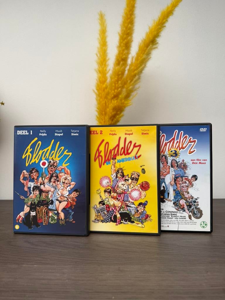 Flodder : 3 films, CD & DVD, DVD | TV & Séries télévisées, Enlèvement ou Envoi, Comme neuf