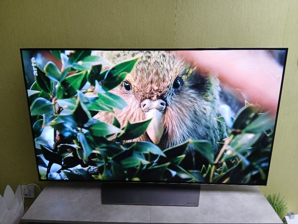 tv oled lg, TV, Hi-fi & Vidéo, Enlèvement, 100 cm ou plus, OLED, LG