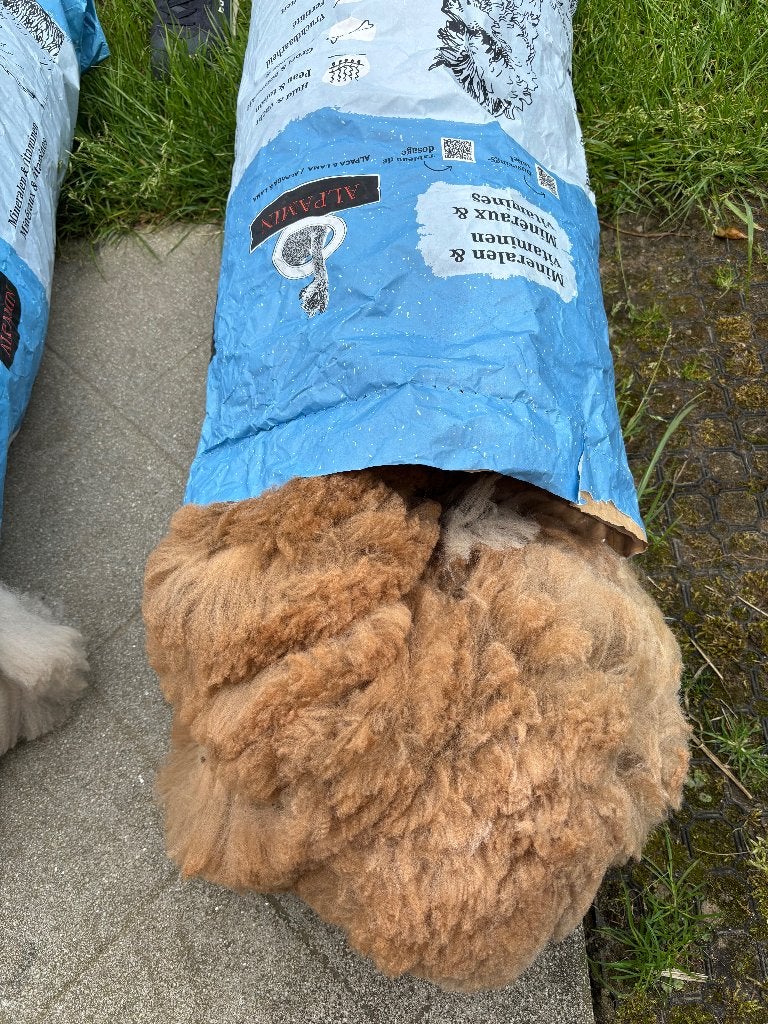 Alpacawol, Ophalen, Spinwol