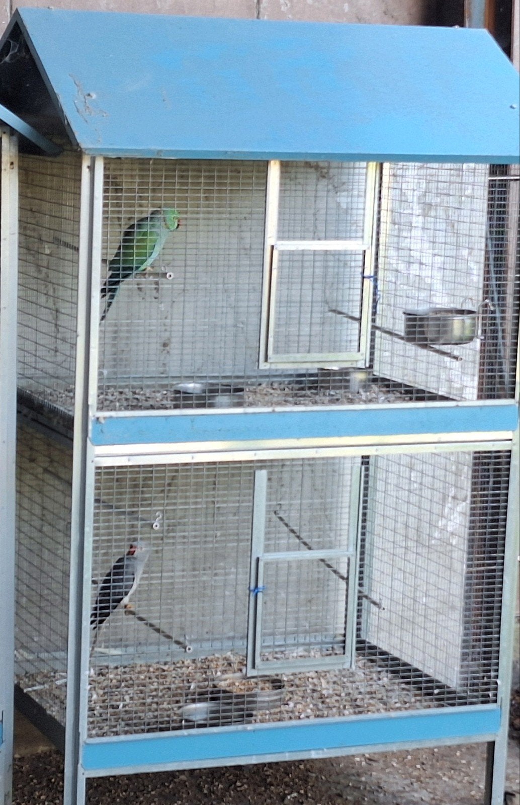 dubbel kooi met 2 koppels, Dieren en Toebehoren