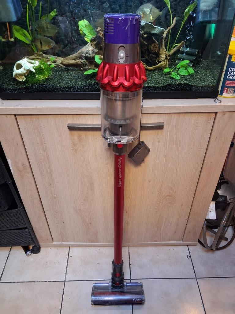 Dyson cyclone v10 fluffy complet