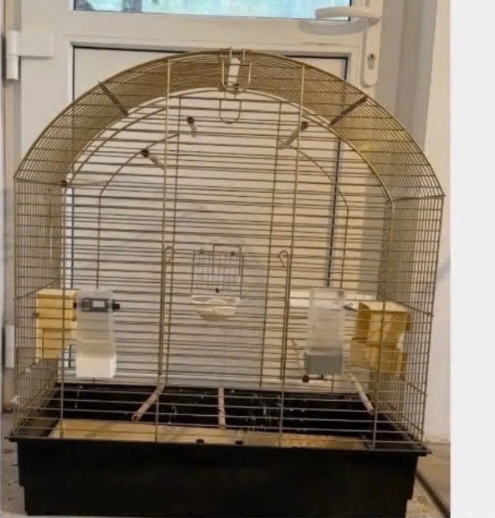Vogelkooi, Enlèvement, Cage à oiseaux