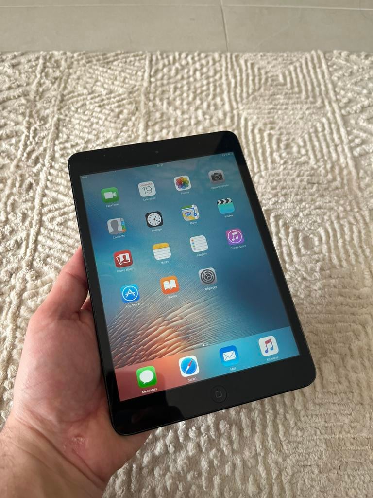 iPad mini 16 GB, Ophalen