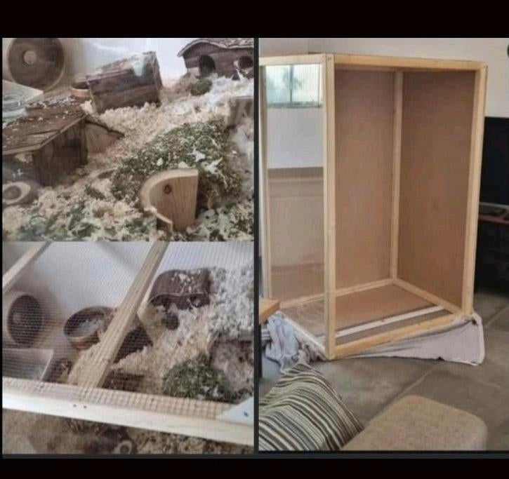 Mega knaagdieren hok verblijf hout, Dieren en Toebehoren, Knaagdieren en Konijnen | Hokken en Kooien, Ophalen, 110 cm of meer