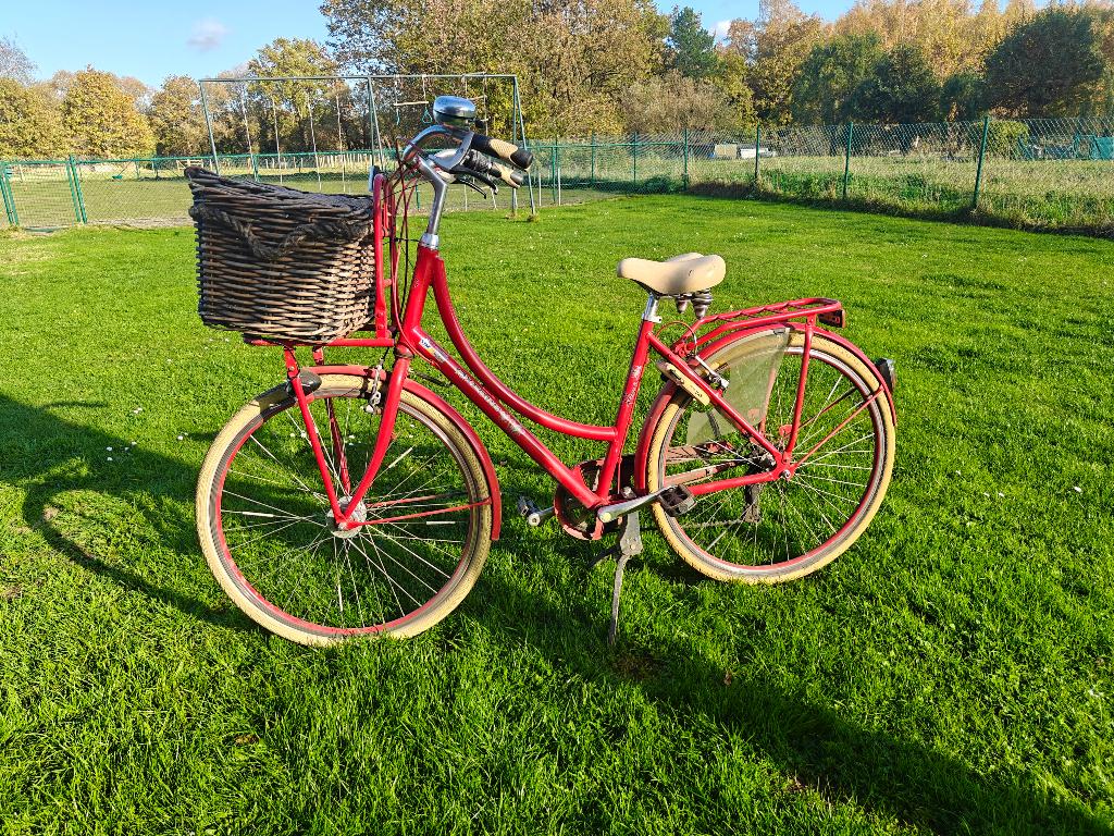 Mooie rode fiets Oxford fleur met grote mand, Fietsen en Brommers, Ophalen