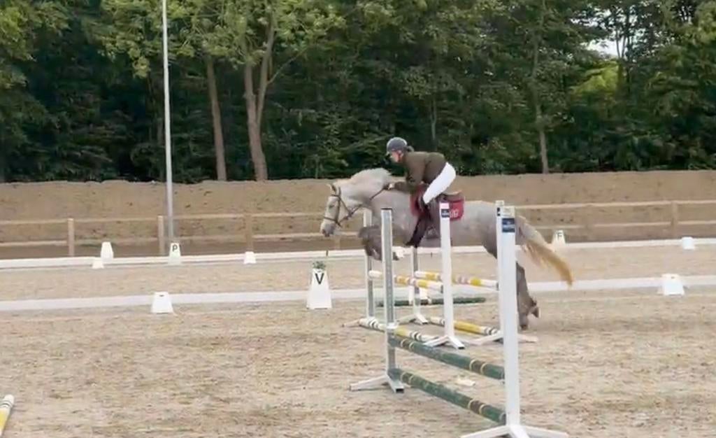 4-jarige pony merrie, Dieren en Toebehoren, Pony's, Merrie