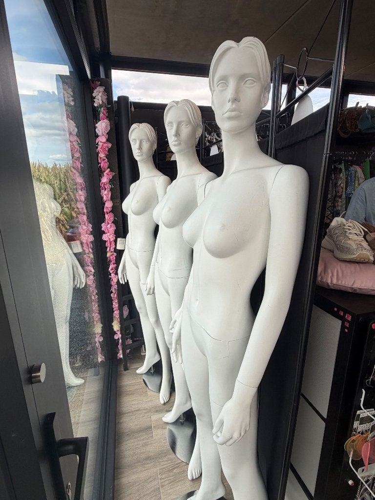 3 etalagepoppen dames met gezicht, Zakelijke goederen, Ophalen