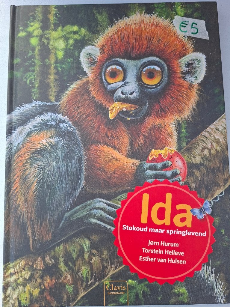 Ida, Enlèvement, Neuf