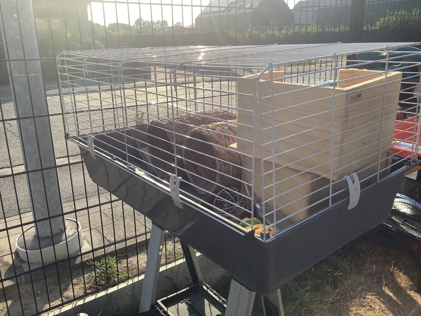 kooi met toebehoren, Dieren en Toebehoren, Ophalen, Zo goed als nieuw, Kooi, Cavia