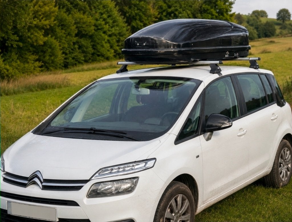 Coffre de toit renault, Enlèvement ou Envoi, Utilisé